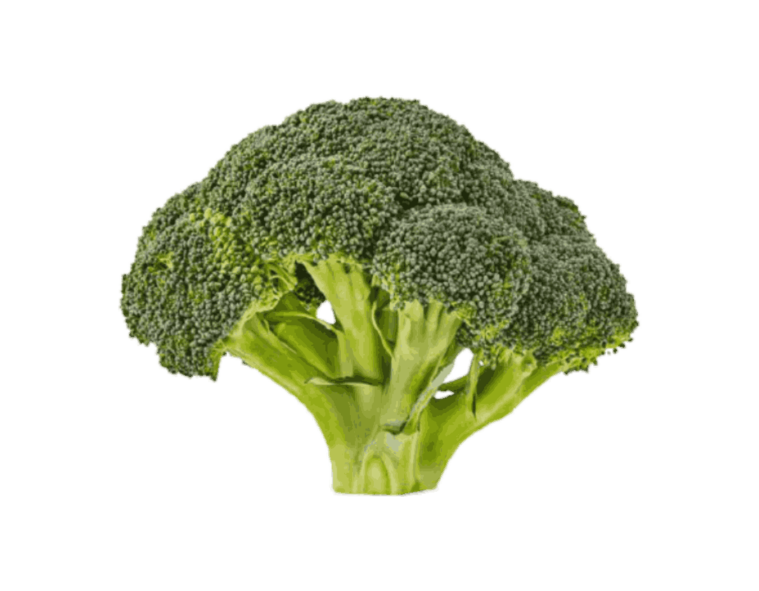 کاهو سبز سالادی