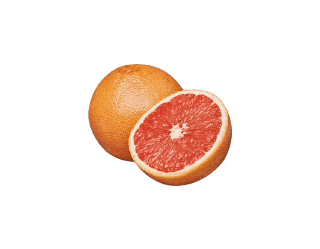 زنجبیل خشک کانادا – بطری ۲ لیتری - تصویر 4