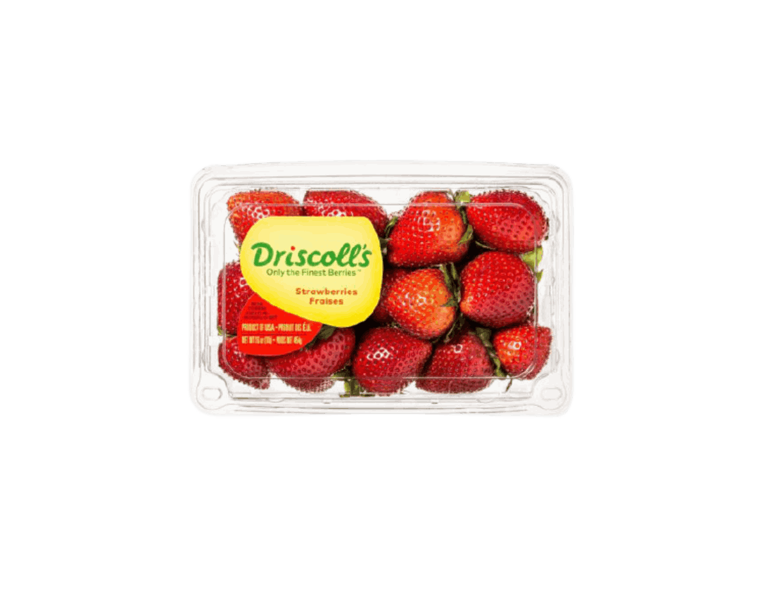 زنجبیل خشک کانادا – بطری ۲ لیتری - تصویر 3