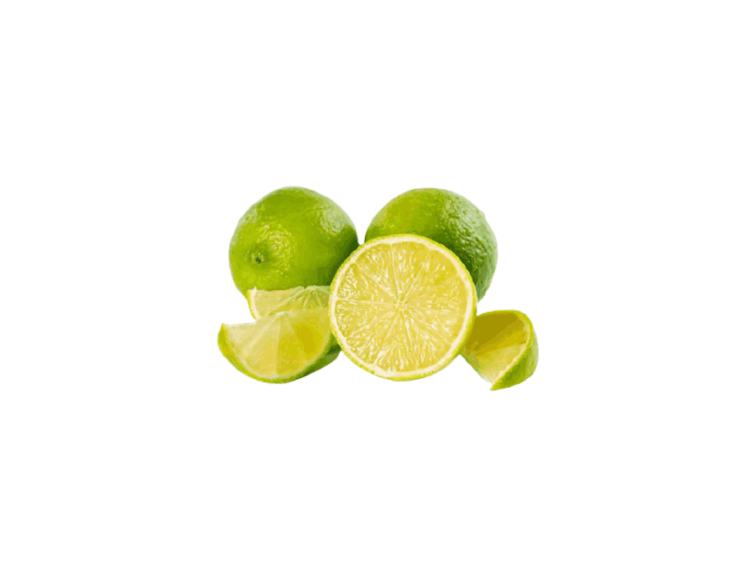 زنجبیل خشک کانادا – بطری ۲ لیتری - تصویر 2