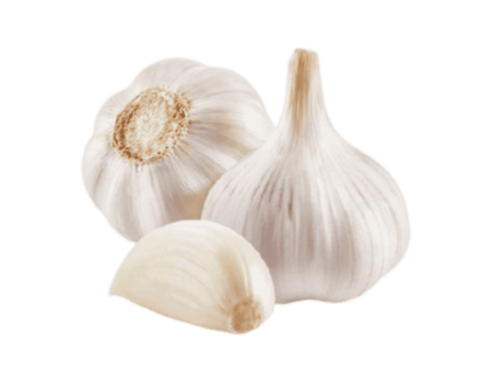 سیر ارگانیک تازه