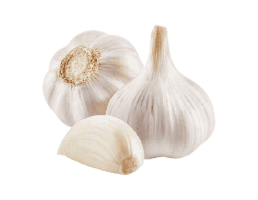 سیر ارگانیک تازه