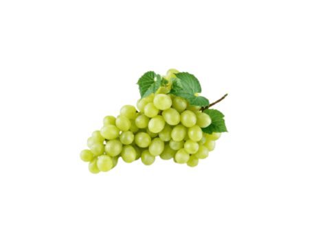 انگور سبز ارگانیک