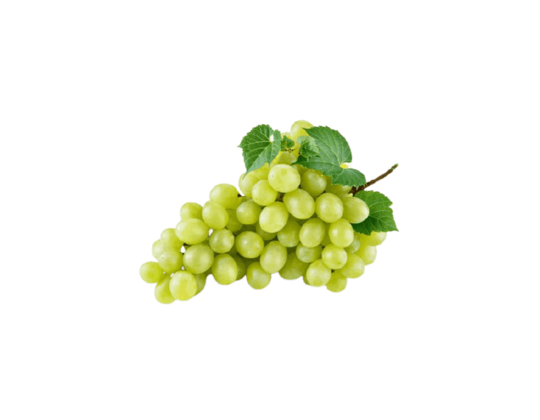 انگور سبز ارگانیک